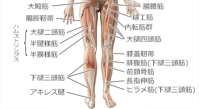 膝痛 変形性膝関節症を改善 ミオンパシー整体院uroom ゆーるーむ