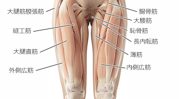 股関節痛 変形性股関節症を改善 筋肉チューニング整体院uroom ゆーるーむ